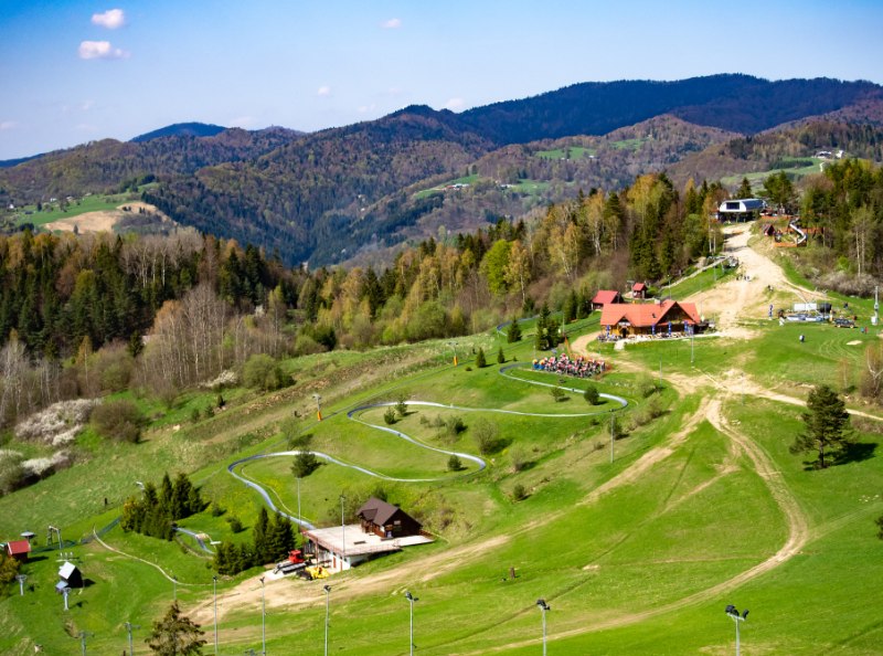 Palenica